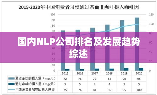 国内NLP公司排名及发展趋势综述