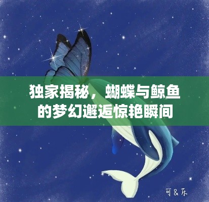 厂房环境 第59页