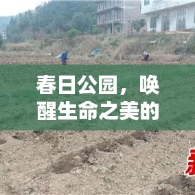产品中心 第62页