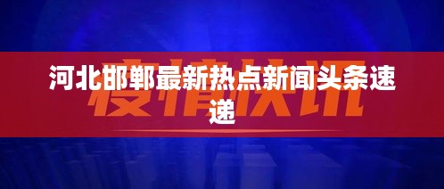 运输网络 第56页