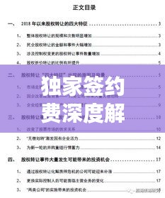 独家签约费深度解析，含义、影响因素与重要性探讨
