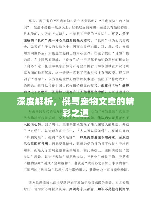 深度解析，撰写宠物文章的精彩之道