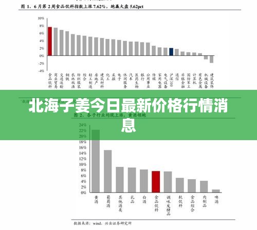 北海子姜今日最新价格行情消息