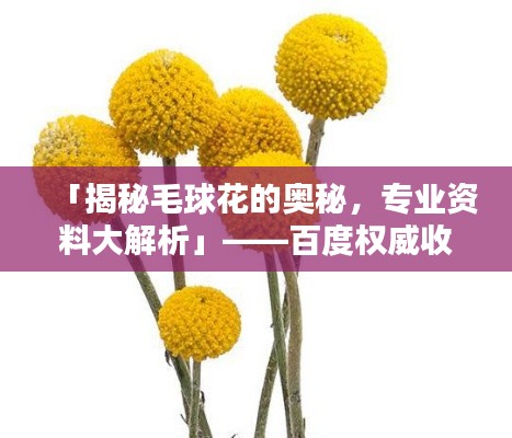 「揭秘毛球花的奥秘，专业资料大解析」——百度权威收录