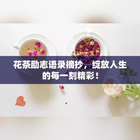 花茶励志语录摘抄，绽放人生的每一刻精彩！