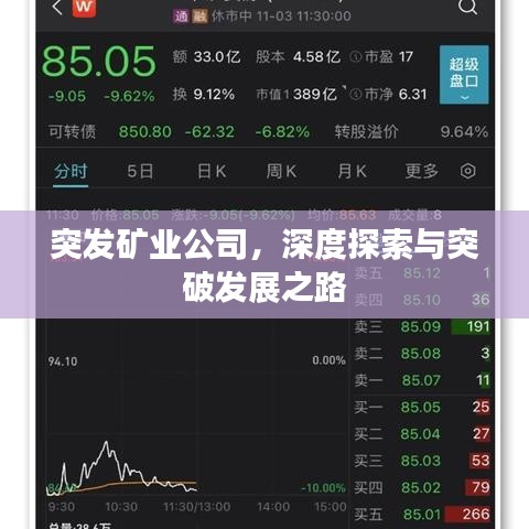 突发矿业公司，深度探索与突破发展之路