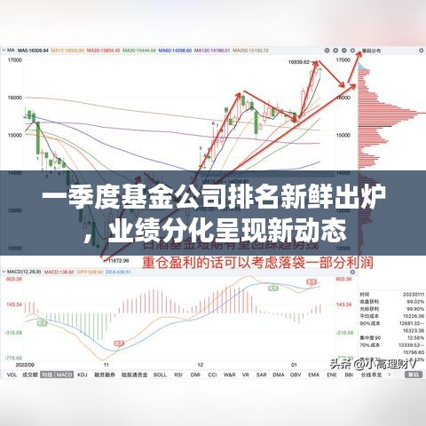 一季度基金公司排名新鲜出炉，业绩分化呈现新动态