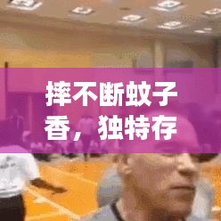 摔不断蚊子香，独特存在与非凡体验