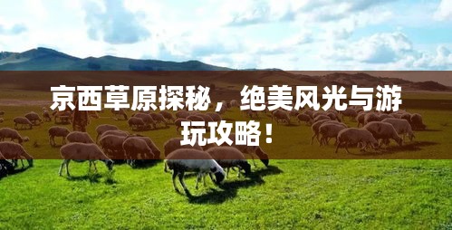 富贵逼人来