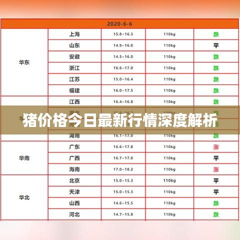 猪价格今日最新行情深度解析