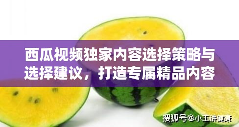 西瓜视频独家内容选择策略与选择建议，打造专属精品内容吸引眼球