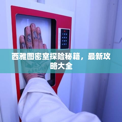 西雅图密室探险秘籍，最新攻略大全