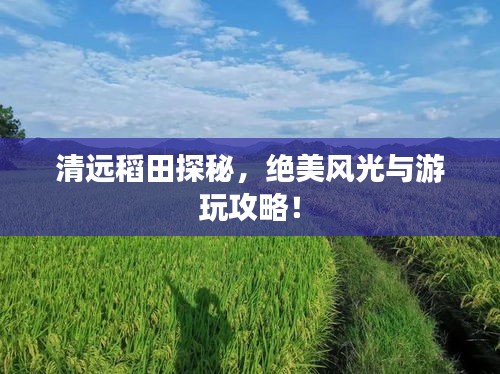 乌鸟之情