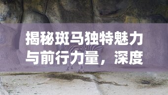 空谷幽兰