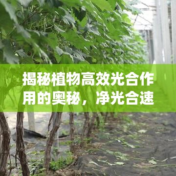 运输网络 第10页