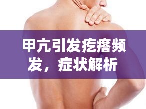 择善而从