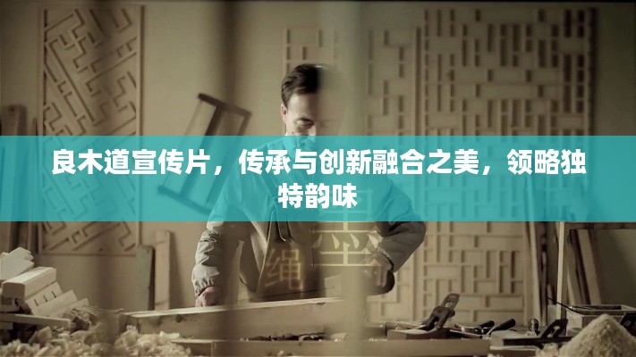 联系我们 第11页