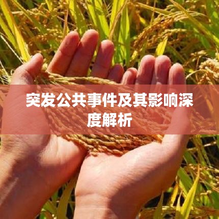无独有偶