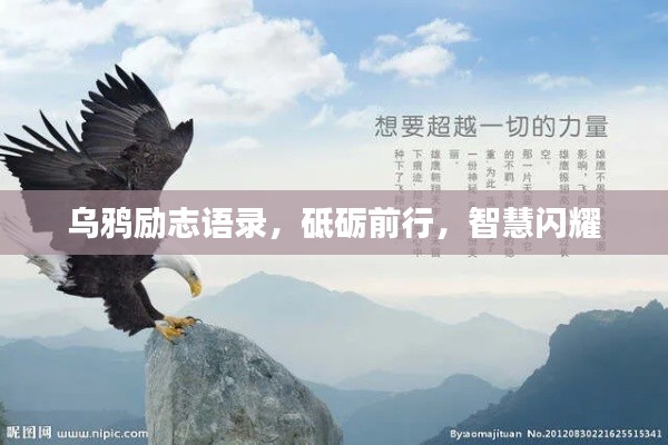 厂房环境 第7页