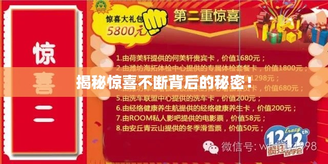 公司简介 第8页