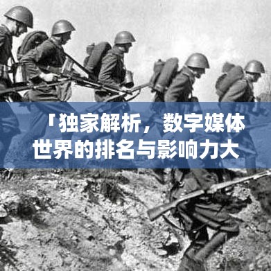 洵属可贵