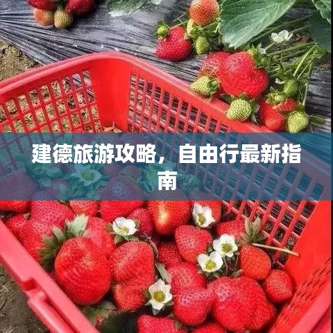 运输网络 第7页