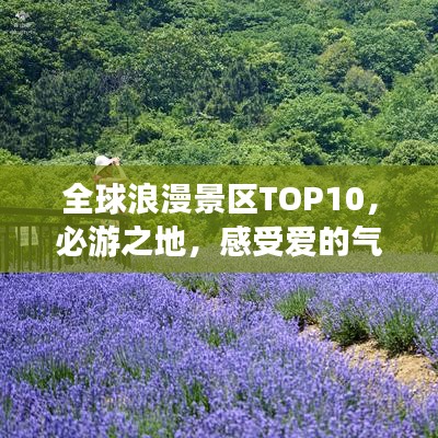 飞箭如蝗