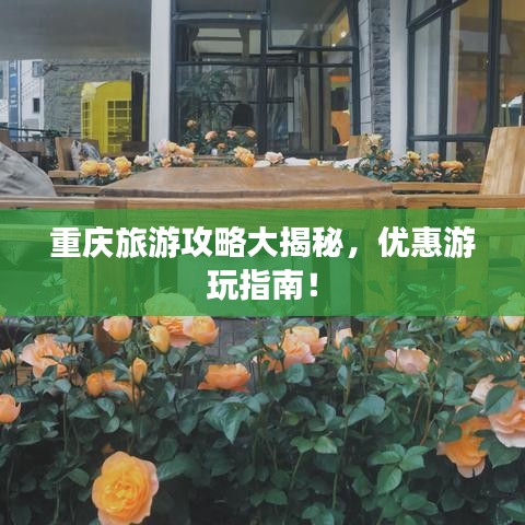 衣不兼采