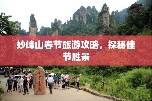 凿壁偷光