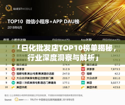 「日化批发店TOP10榜单揭秘，行业深度洞察与解析」