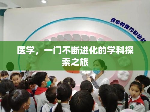 彬彬有礼