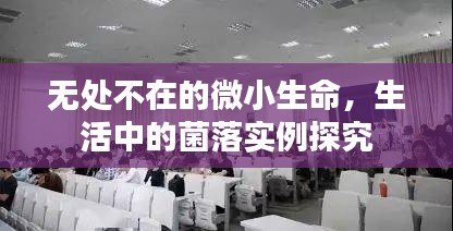 鸟为食亡