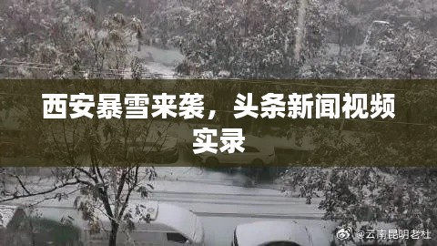 十全十美