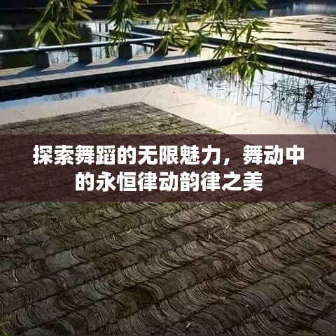 木乾鸟栖