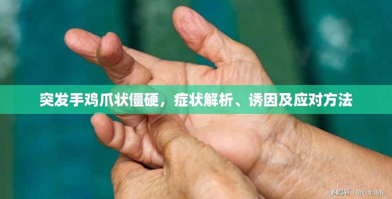 祖道供张