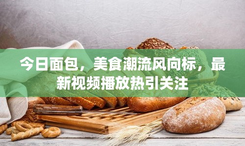 坌鸟先飞