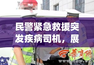 鸟覆危巢
