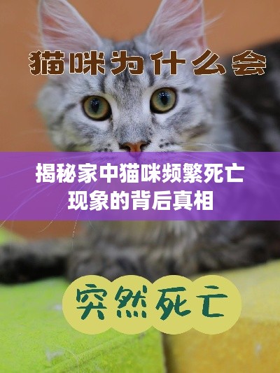 虎视眈眈