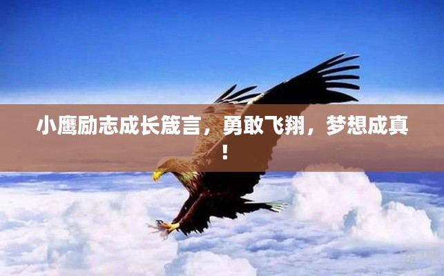 联系我们 第2页