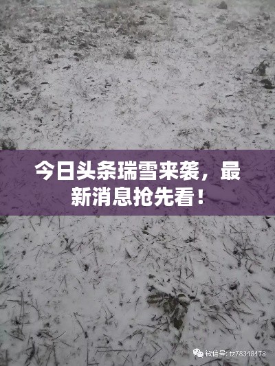 风流潇洒
