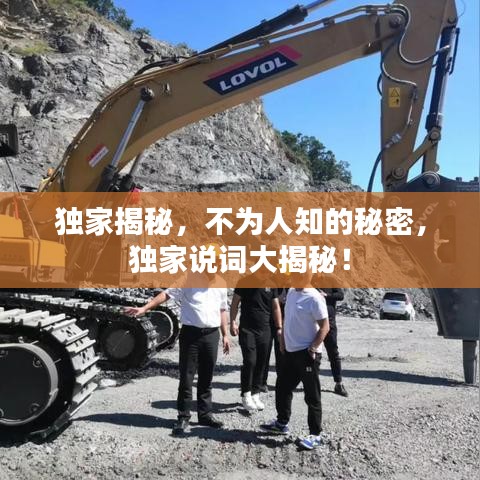 独家揭秘，不为人知的秘密，独家说词大揭秘！
