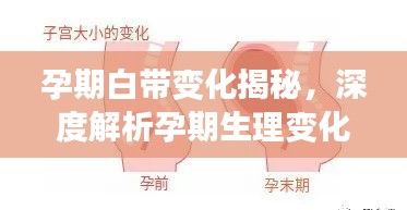 孕期白带变化揭秘，深度解析孕期生理变化