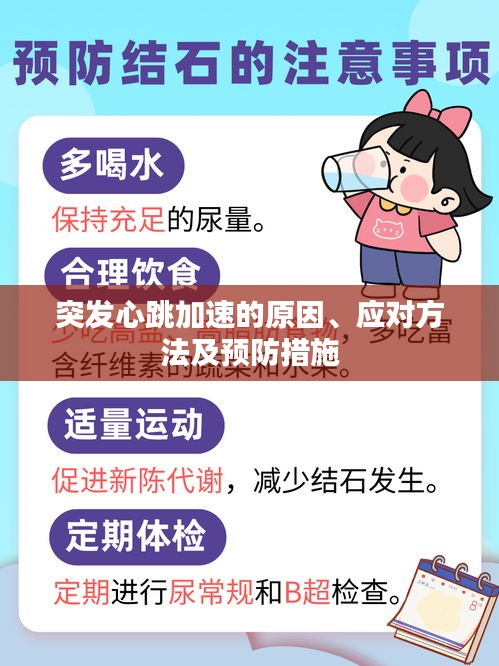 突发心跳加速的原因、应对方法及预防措施