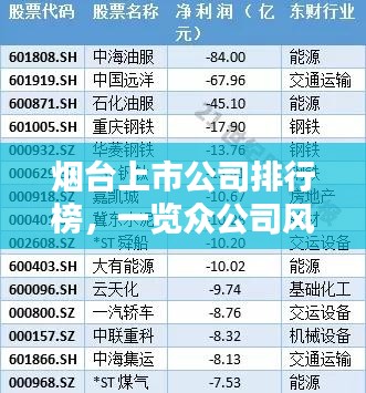 烟台上市公司排行榜，一览众公司风采