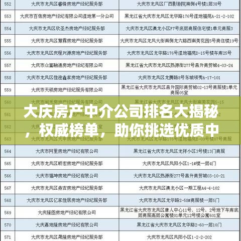 大庆房产中介公司排名大揭秘，权威榜单，助你挑选优质中介！