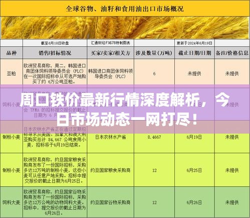 周口铁价最新行情深度解析，今日市场动态一网打尽！