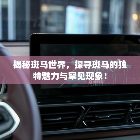 揭秘斑马世界，探寻斑马的独特魅力与罕见现象！