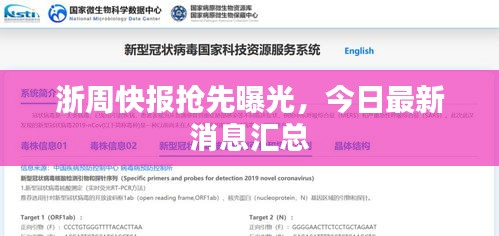 浙周快报抢先曝光，今日最新消息汇总