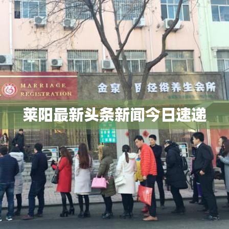 莱阳最新头条新闻今日速递
