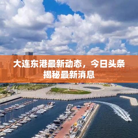大连东港最新动态，今日头条揭秘最新消息